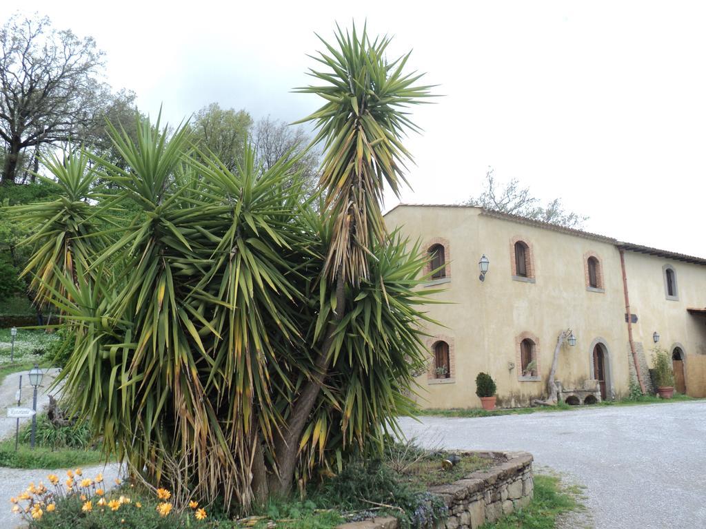 Agriturismo Il Daino Villa San Piero Patti Exterior photo